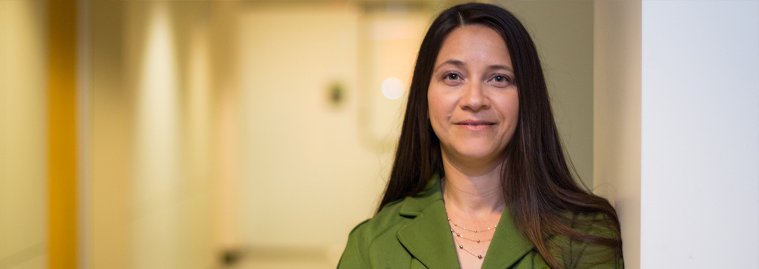 Master of Science in Information Systems Banner